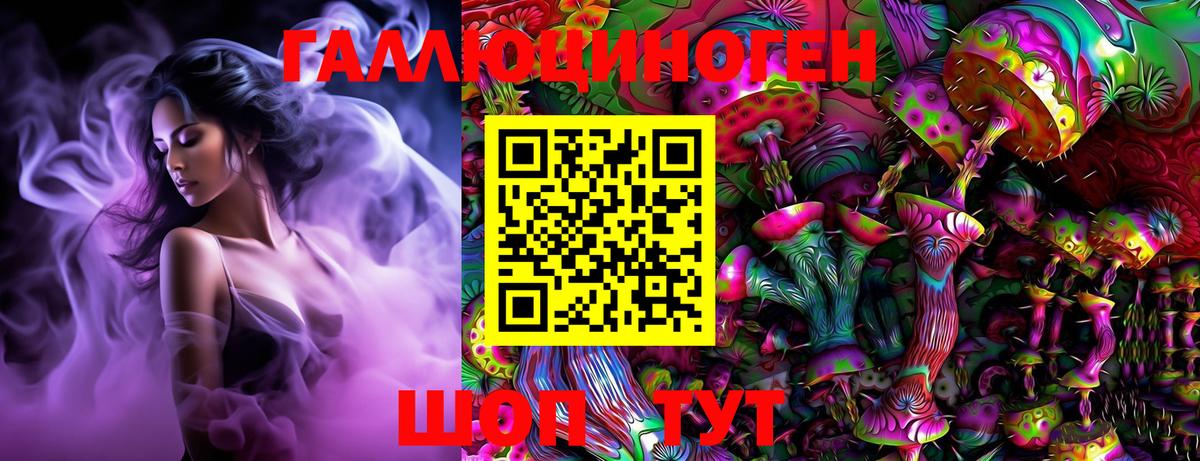 Галлюциногенные грибы Psilocybe  Вход с VPN  Гусиноозёрск 